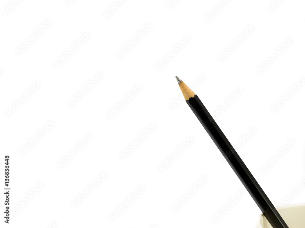 Black pencil in paper cup on white background.