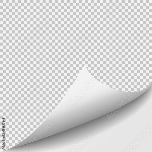 Curl corner paper template. Transparent grid. Empty isolated background page