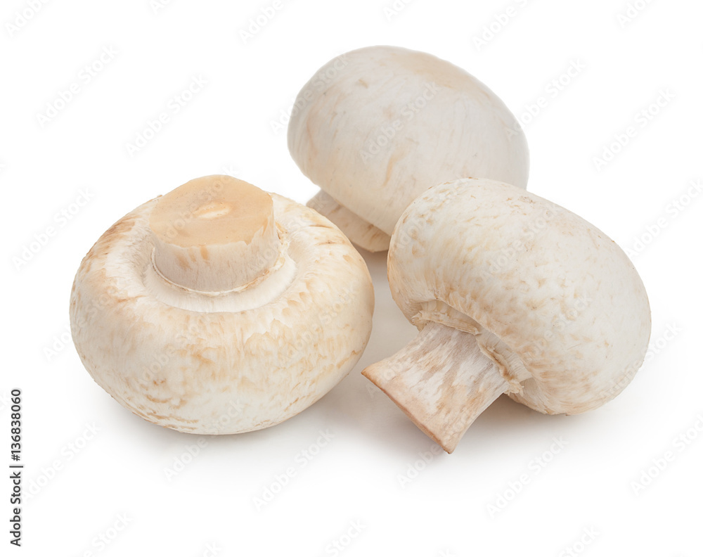Champignon mushrooms. Three mushroom isolated on white backgroun Champignon mushrooms. Three mushroom isolated on white backgroun