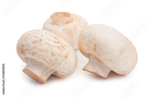 Champignon mushrooms. Three mushroom isolated on white backgroun