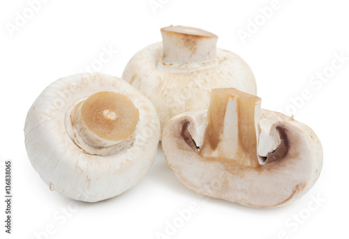 Fresh champignon mushrooms. Three mushroom isolated on white bac