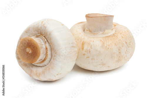 Champignon mushrooms. Two mushroom isolated on white background,