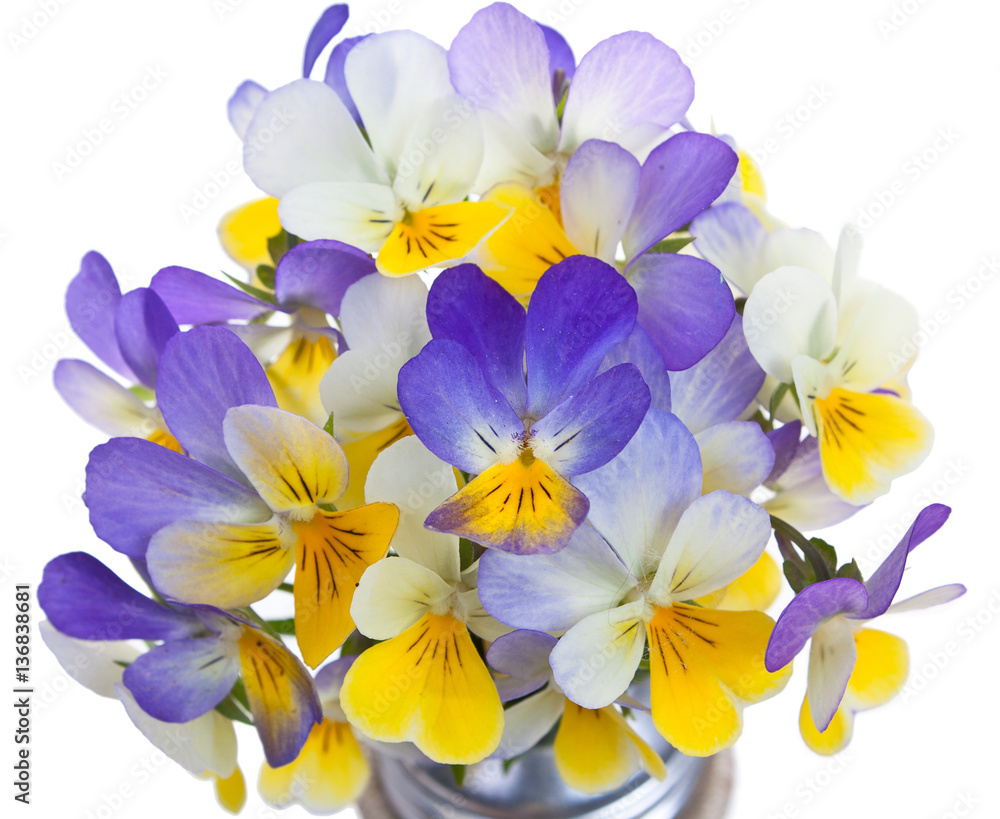 Light bulb vase with a bouquet of wildflowers on a decorative st Light bulb vase with a bouquet of wildflowers on a decorative st