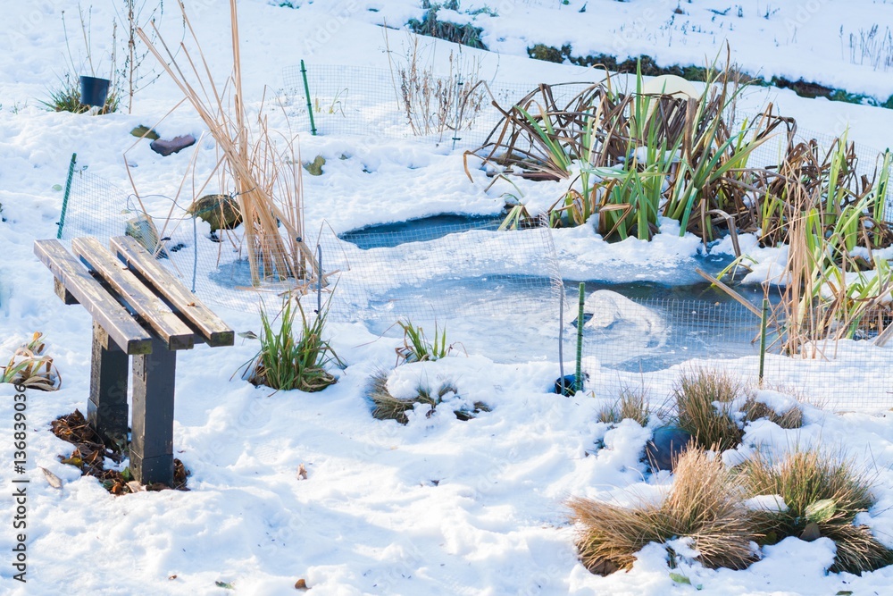 Sitzplatz am Gartenteich im Winter StockFoto Adobe Stock