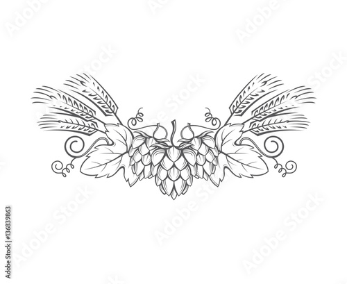 black illustration of hop and barley ear for brewing