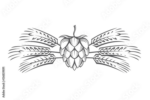Photo black illustration of hop and barley ear for brewing