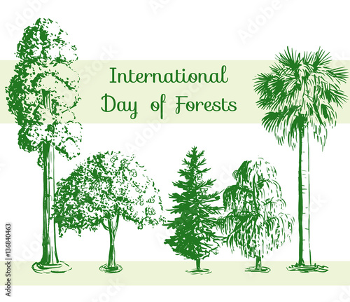 International Day of Forests card. Vector hand drawn sketch tree pattern. Sequoia, palmetto, willow, apple-tree, spruce.