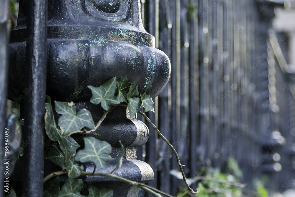 Black iron fence