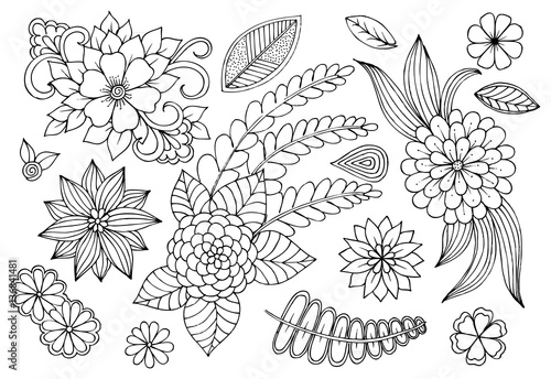 Set of doodle floral elements for design or coloring