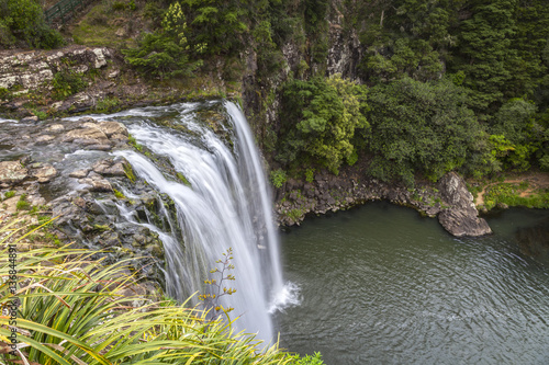 Whangarei Falls, Northland, New Zealand