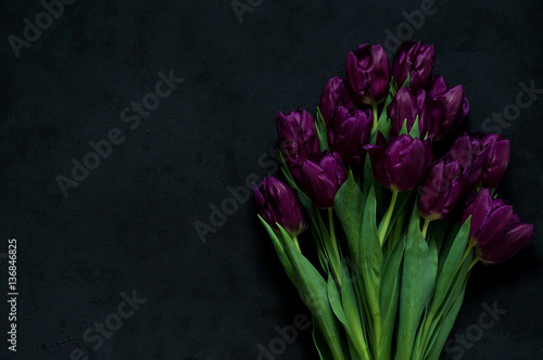 bouquet of tulips on a black background