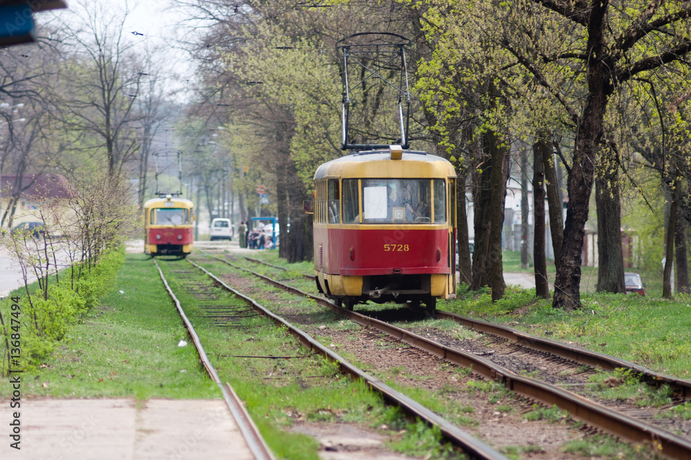 red tram rails on curves near the trees and grass