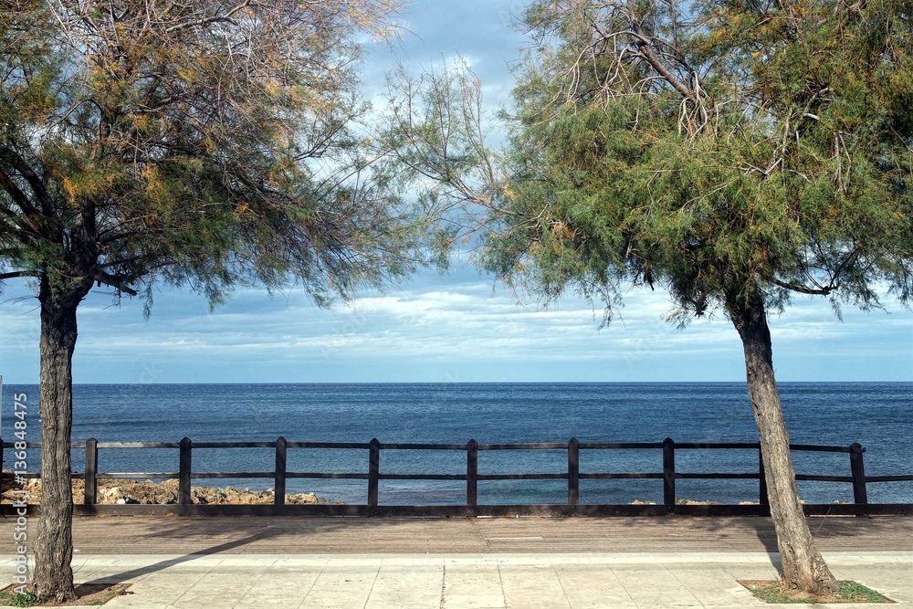 sea view with trees