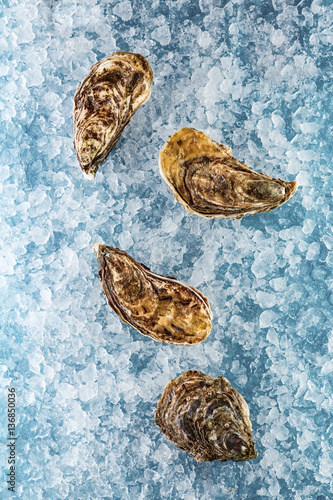 oysters on ice