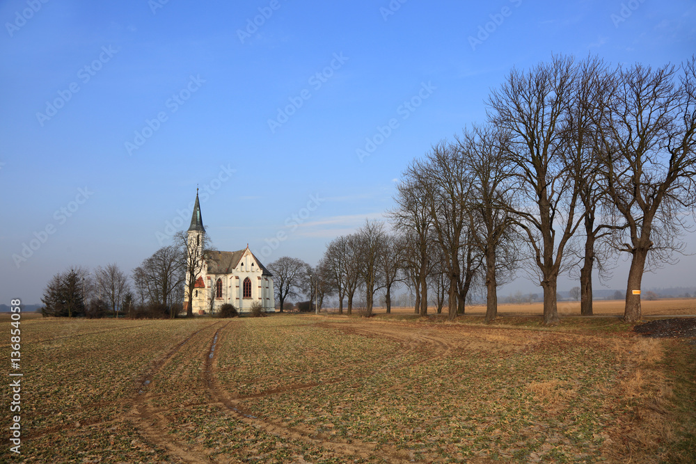 Kościół wśród pól z aleją obsadzoną drzewami. - obrazy, fototapety, plakaty 
