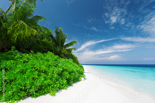 Beautiful nature landscape of tropical island at daytime, Maldives