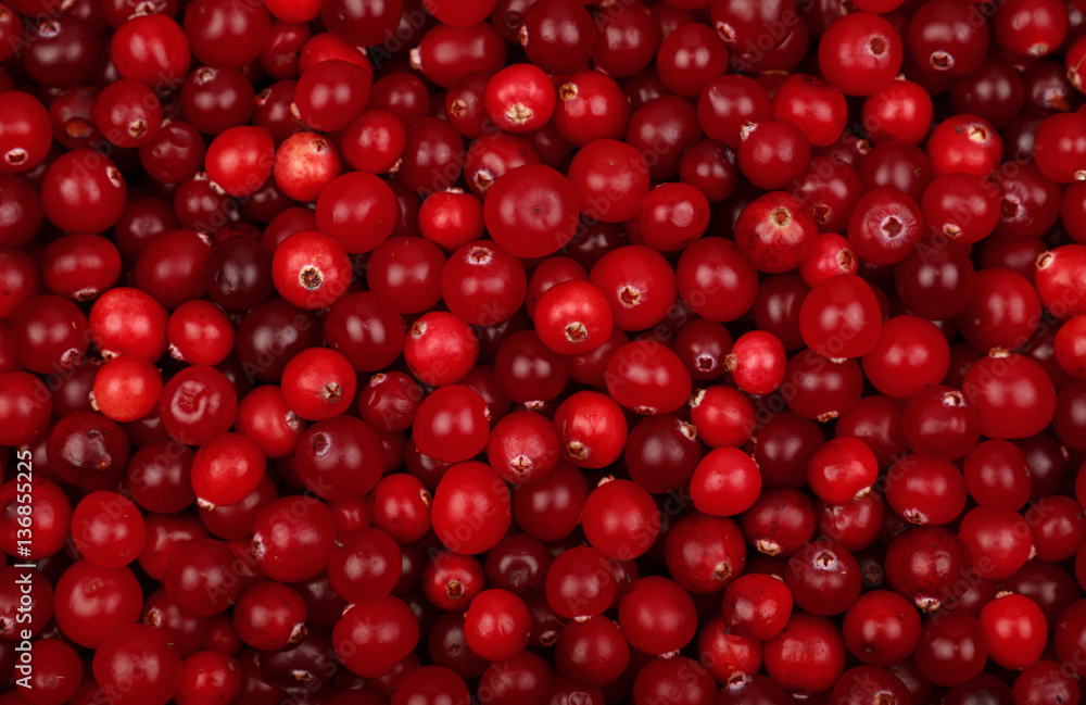 Fresh red ripe cranberries background top view Fresh red ripe cranberries background top view