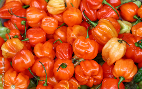 Cuadro en lienzo Sweet hot chili habanero orange peppers close up