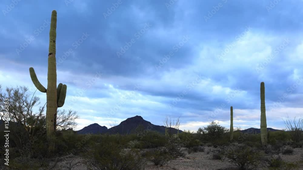 4K UltraHD A Timelapse of panoramic view in Tucson Mountain Park 4K UltraHD A Timelapse of panoramic view in Tucson Mountain Park