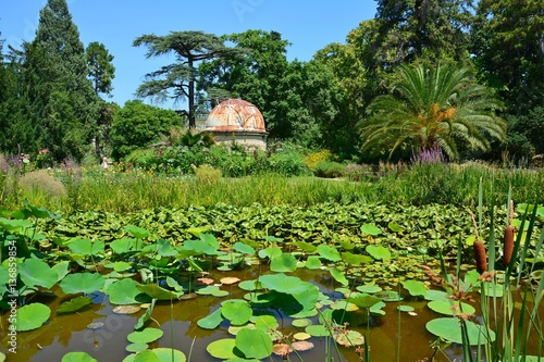 Jardin des Plantes in Montpellier is the oldest botanical garden in France