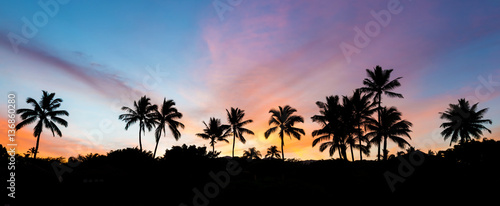 tropikalny wschód słońca z palmami i kolorowym niebem na wyspie Maui na Hawajach z tajnej plaży