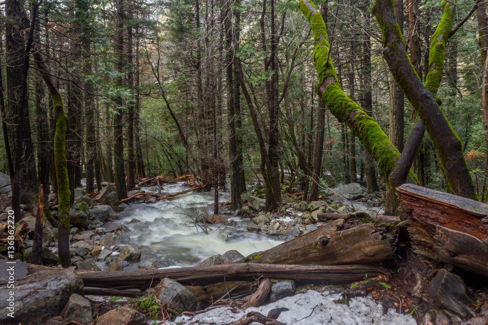 Fototapeta premium Yosemite Winter