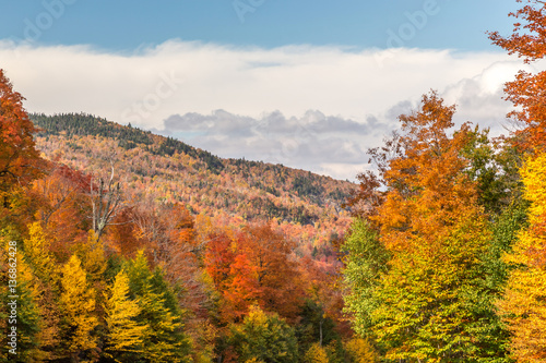 Autumn in the Mountains of the Eastern townships, Canada. Colorful maple trees while hiking to the summit of Mount Orford