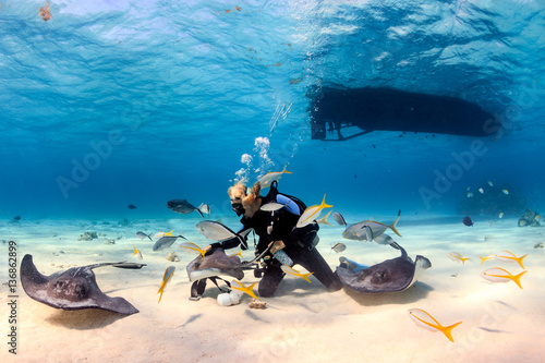 Valokuva SCUBA Diver and Stingrays