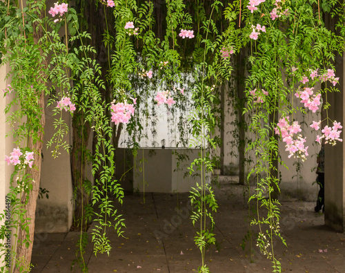 Andalusian Center for Contemporary Art No. 3, 2016
