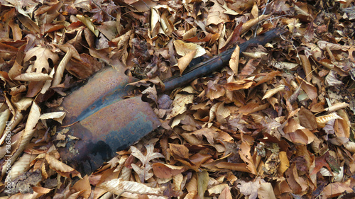 Rusted Shovel #3 photo