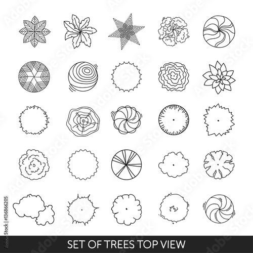 Set of trees. Top view