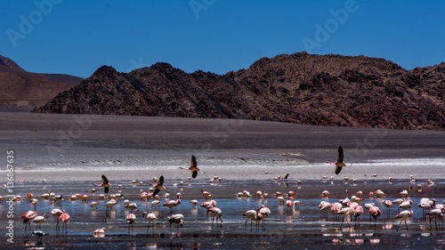 In volo verso il cielo