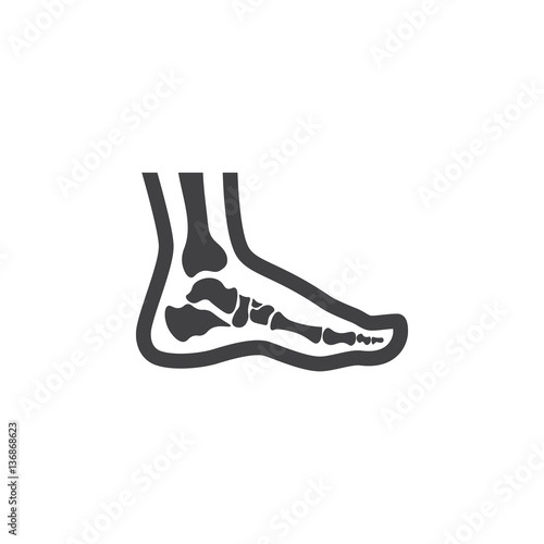 Foot anatomy. Single flat icon on white background. Vector illustration.