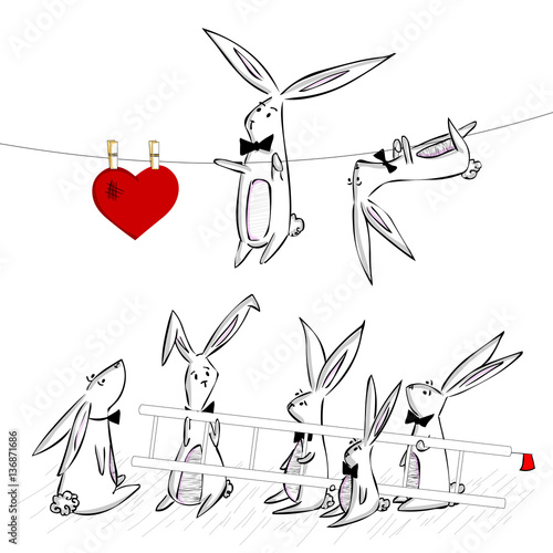 conejos en busca del corazón photo