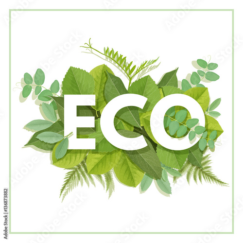 ECO letter with leaves