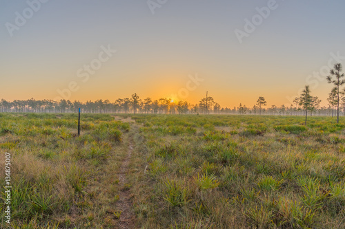 Florida Prairie at Sunrise on the Triple N Ranch