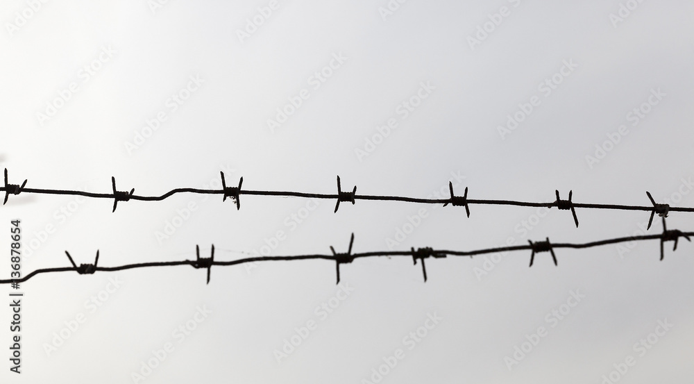 barbed wire, close-up barbed wire, close-up