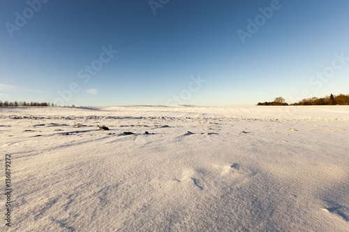 Fototapeta Naklejka Na Ścianę i Meble -  landscape in winter