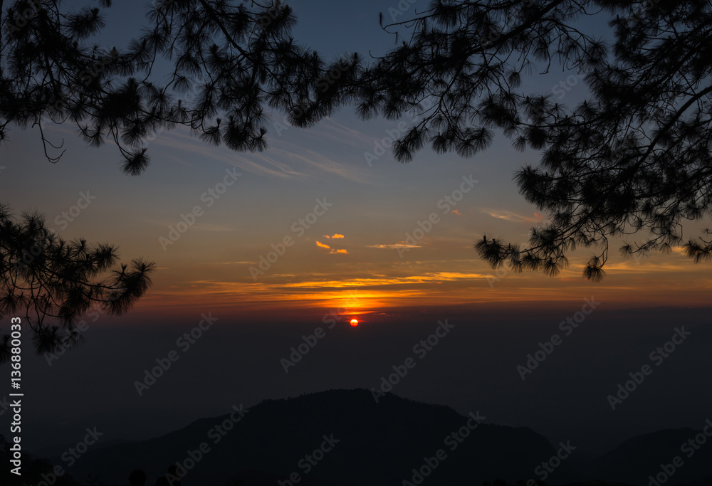 Sunrise over Mountain Landscape background with pine