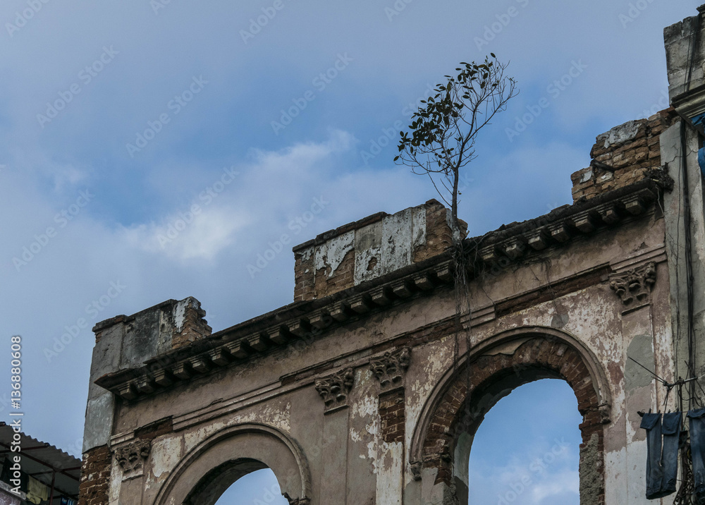 Derelict Buildings, Old Havana, Cuba