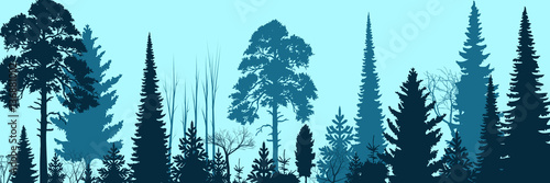Wide Forest Background    - vector illustration