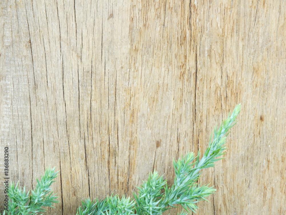 green leaves on the old wooden background green leaves on the old wooden background