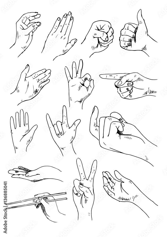 Obraz premium Vector set of hands and gestures - outline illustration
