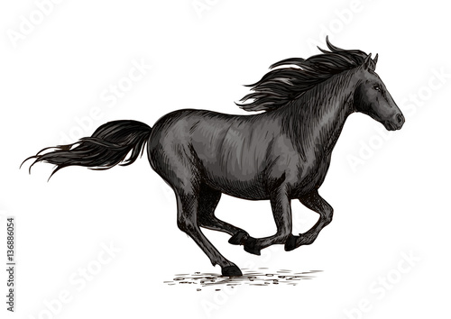Black horse running on racing sport