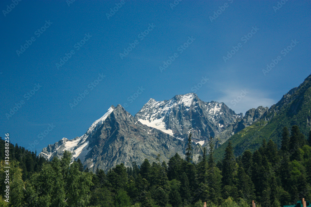 Mountain summer landscape with forest and high peaks. Caucasus. Mountain summer landscape with forest and high peaks. Caucasus.