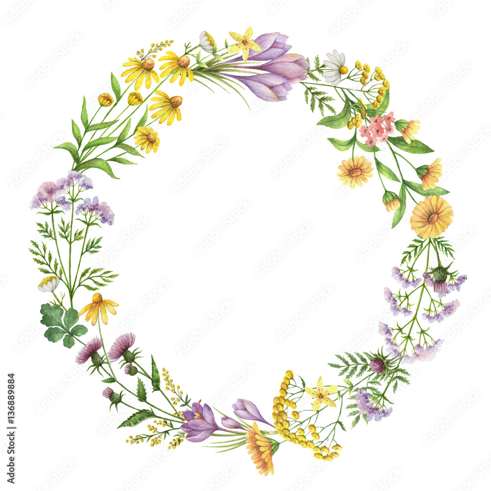 Watercolor round frame with medical plants. Watercolor round frame with medical plants.