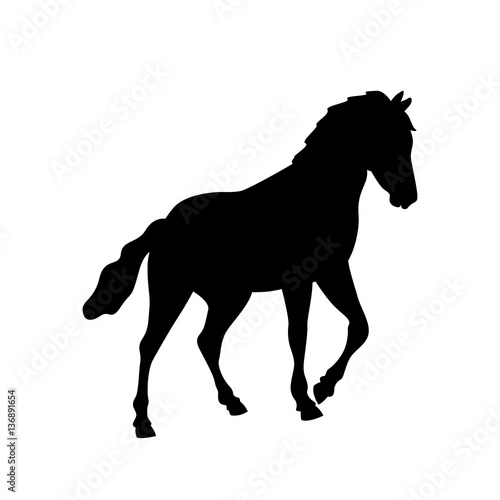 horse vector illustration black silhouette