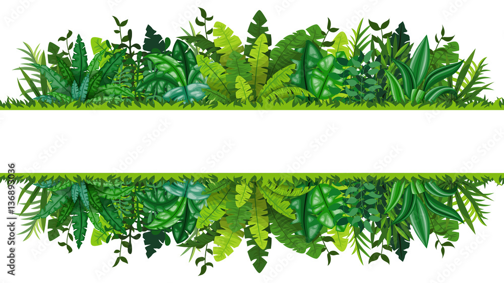Illustration of a tropical rainforest banner
