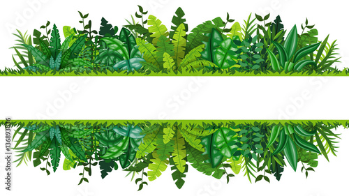 Canvas Print Illustration of a tropical rainforest banner