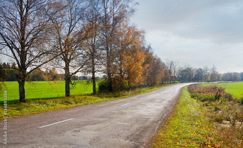 Country road in early autumn.